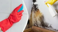 Schwarzer Schimmel verschwindet vor Ihren Augen: Der Trick, den Reinigungskräfte verschweigen