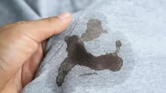 Wie man jeden Fleck in 5 Minuten entfernt: eine alte Methode, die moderne Mittel übertrifft