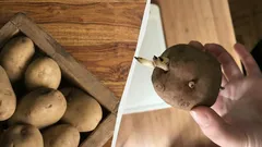 Kartoffeln keimen nicht und schrumpeln sechs Monate lang nicht – so lagern Sie sie richtig