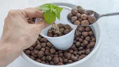 So machst du die richtige Drainage ohne Blähton: Eine günstige Methode von erfahrenen Pflanzenliebhabern